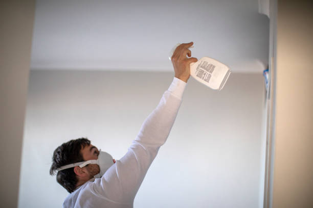 Mold Testing and Removal in Pace, FL