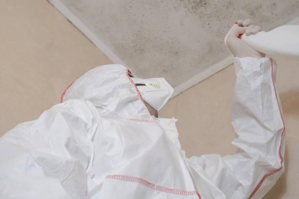 Water Damage Restoration in Pace, FL
